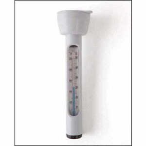 Pool Thermometer von Intex 29039